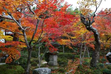 圓光寺 十牛之庭