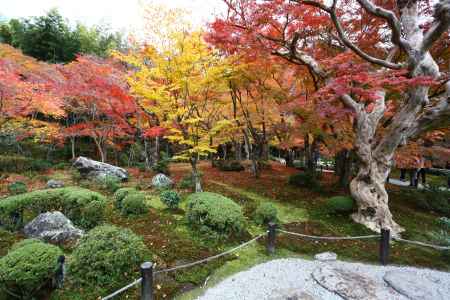 圓光寺 十牛之庭