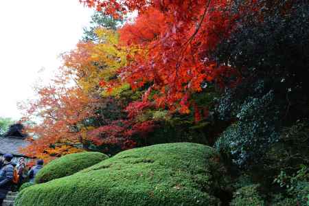 詩仙堂の紅葉③