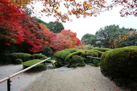 詩仙堂の紅葉⑤