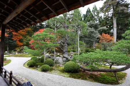 曼殊院門跡 庭園と紅葉②