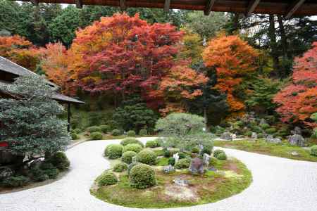 曼殊院門跡 庭園と紅葉③