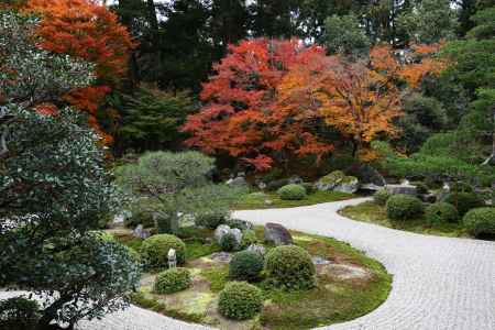 曼殊院門跡 庭園と紅葉④