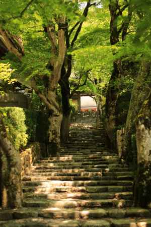 大原 寂光院山道