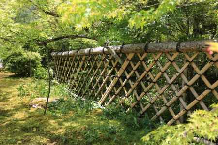 琳派400年鷹ヶ峰散策 光悦寺8