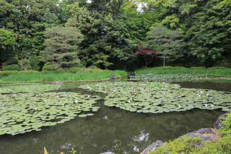 平安神宮 西神苑