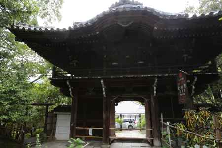 金地院 東照宮桜門