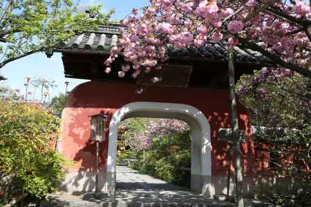 石峰寺　参道唐門