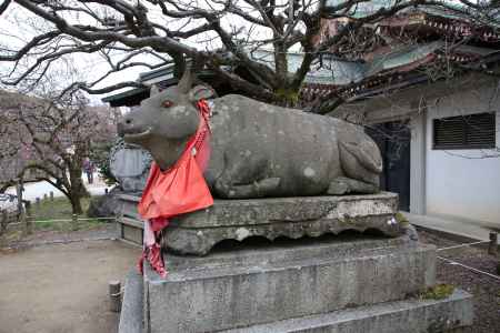 北野天満宮 臥牛の像