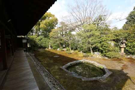 本法寺 巴の庭①