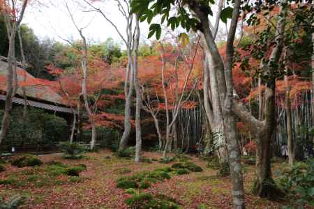 祇王寺 3