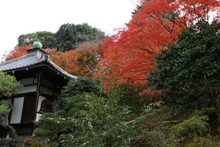 霊鑑寺8