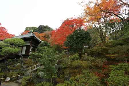 霊鑑寺8