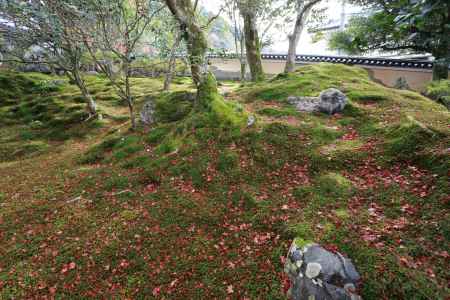 霊鑑寺10