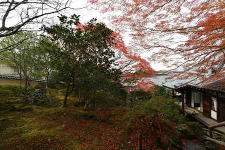 霊鑑寺15