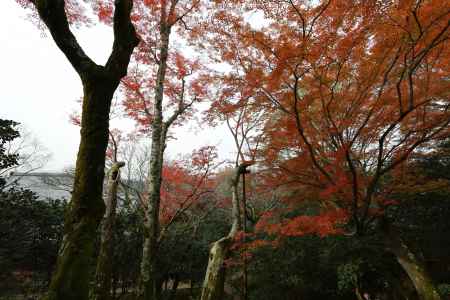 霊鑑寺19