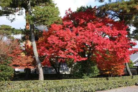 相国寺9