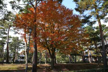 相国寺15