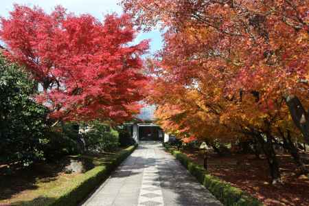 相国寺承天閣美術館