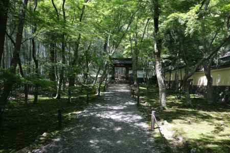 地蔵院（竹の寺）1