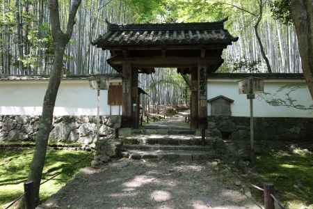 地蔵院（竹の寺）2