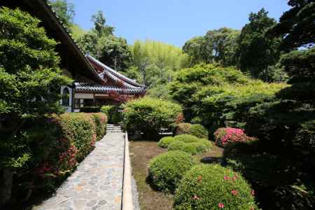 華厳寺 (鈴虫寺)4