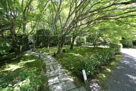 西方寺 (苔寺)10