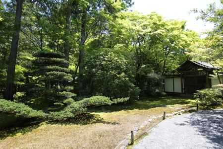 西方寺 (苔寺)12