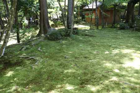 西方寺 (苔寺)15