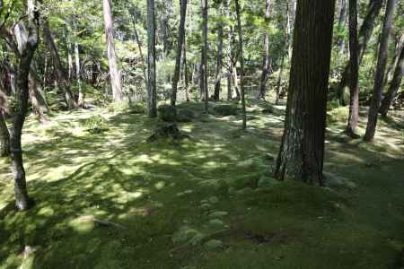 西方寺 (苔寺)16