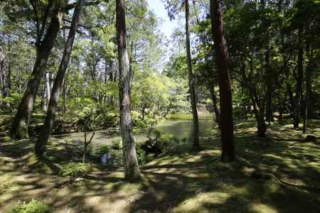 西方寺 (苔寺)18