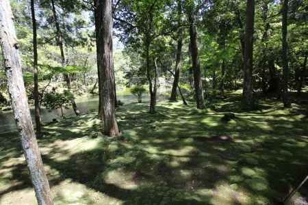 西方寺 (苔寺)21