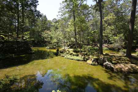 西方寺 (苔寺)30