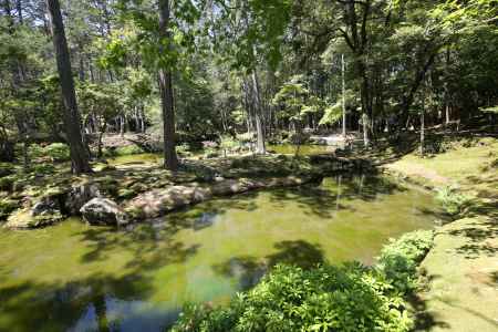 西方寺 (苔寺)31