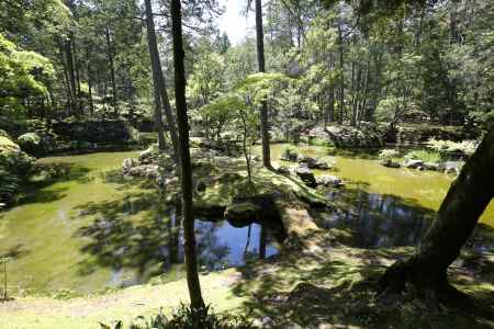 西方寺 (苔寺)33