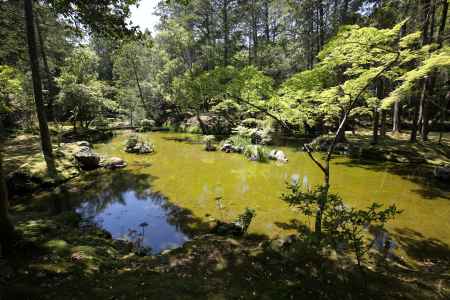 西方寺 (苔寺)34