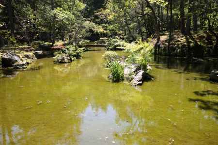 西方寺 (苔寺)35