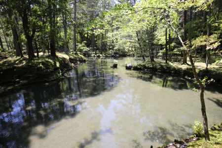 西方寺(苔寺)36