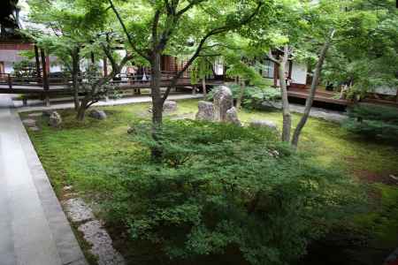 建仁寺　新緑の庭