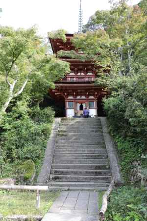 浄瑠璃寺 三重塔
