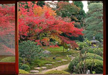 雲龍院の紅葉の時期の庭