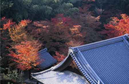 圓光寺　屋根と紅葉