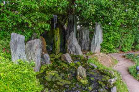 松尾大社は松風苑三庭の一つ、蓬莱の庭の龍門瀑