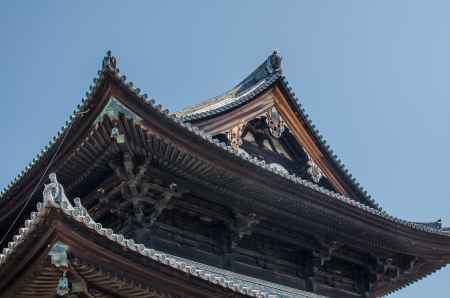 東福寺本堂の屋根を仰ぎ見る