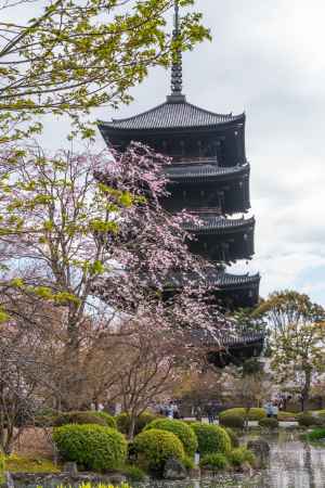 五重塔は高さ日本一