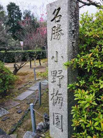 小野梅園　石碑