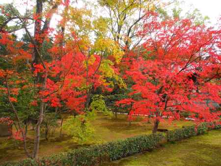 金閣寺参道④