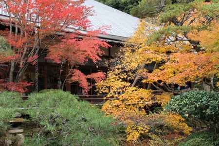 紅葉の永観堂　⑤