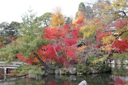 紅葉の永観堂　⑩