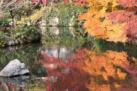 紅葉の永観堂　⑫